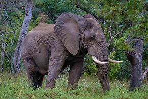 Little Africa Safari Lodge