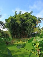 Ecopolis
