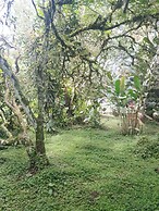 Ecopolis