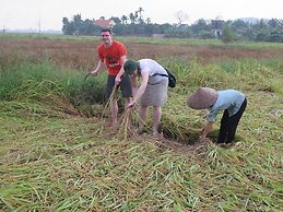 Paddy Home