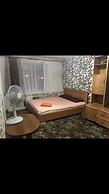 Apartment on Frunze 60