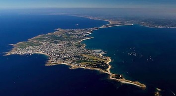 Goéland Argenté