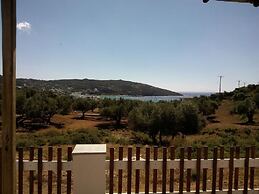 Evdokia Studios