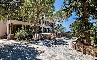 White Olive Premium Lindos - All Inclusive