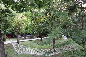 Plaj Hotel