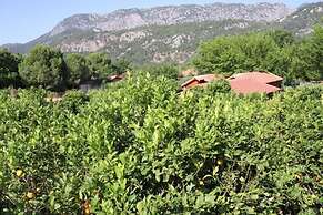 Plaj Hotel