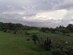 Monteverde Eco Love