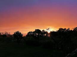 Monteverde Eco Love