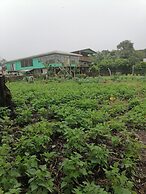 Monteverde Eco Love
