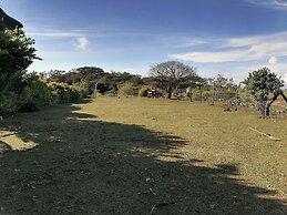 Monteverde Eco Love