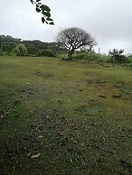 Monteverde Eco Love
