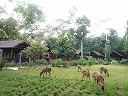 G-Land Joyo's Camp