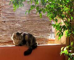 Hostal B&B Poblenou