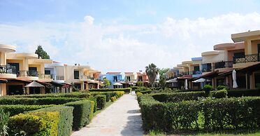 Eva's Houses