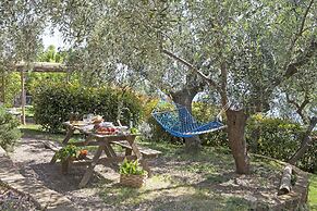 Agriturismo Uliveto Saglietto