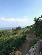 Agriturismo Uliveto Saglietto