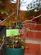 Hostal Casa Cascada