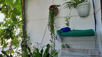 Sena Home