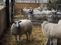 Pear Tree Farm B&B