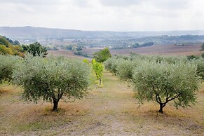 Home set in Olive Grove With Stunning Views