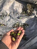 Gems of Pinakates