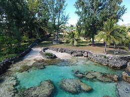 Tropical Haven