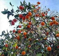 Kiris Garden Hotel