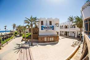 Penguin Village Dahab