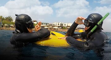 Penguin Village Dahab
