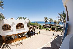 Penguin Village Dahab