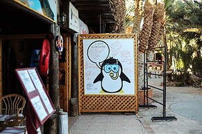 Penguin Village Dahab