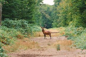 Loire Valley Lodges - Hotel