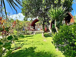 Jungle Paradise