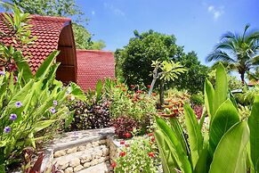 Jungle Paradise