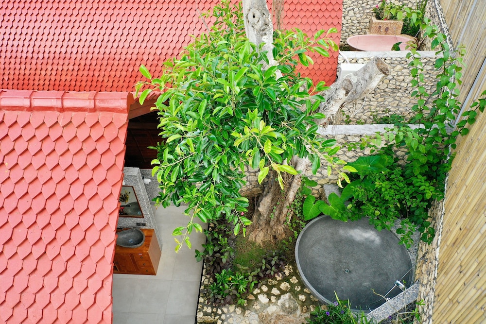 Jungle Paradise