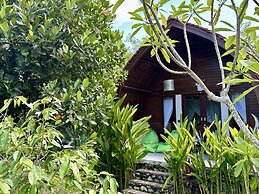 Jungle Paradise