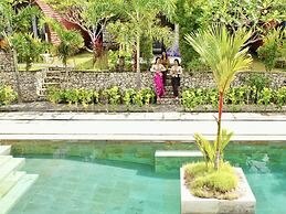 Jungle Paradise