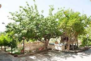 Nel Giardino Dei Limoni