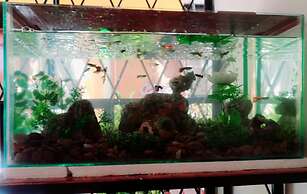Hostal Mariscal Sucre