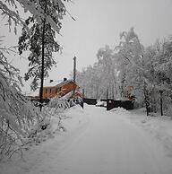 Forest estate Lesnye Polyany