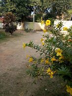Saja Homestay