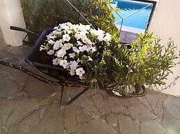 Ziggys retreat B & B Adults Only