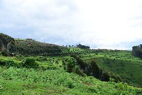 Nyungwe Eco Village