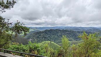 Nyungwe Eco Village