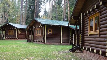 Silent Forest - Campsite