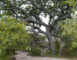 Osero Enarau Camp