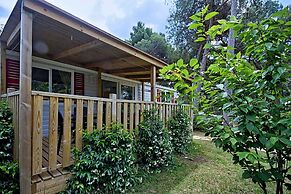 Camping Adria Mobile Homes in Brioni