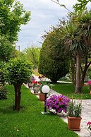 Sunny Garden