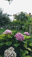 Guest house Djonovic