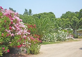 Camping Pezza Cardo